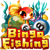 Câu Cá Bingo 13w